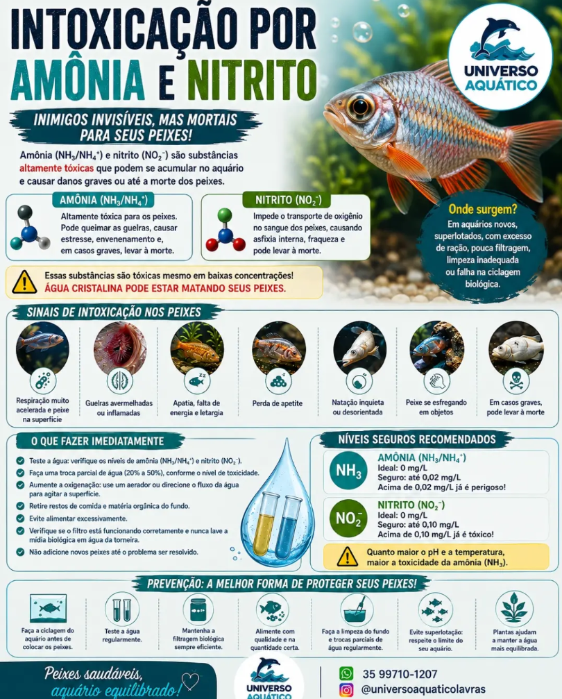 Intoxicação por Amônia e Nitrito