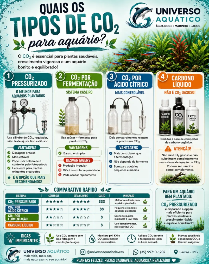 Tipos de CO2 para aquário