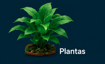 Plantas